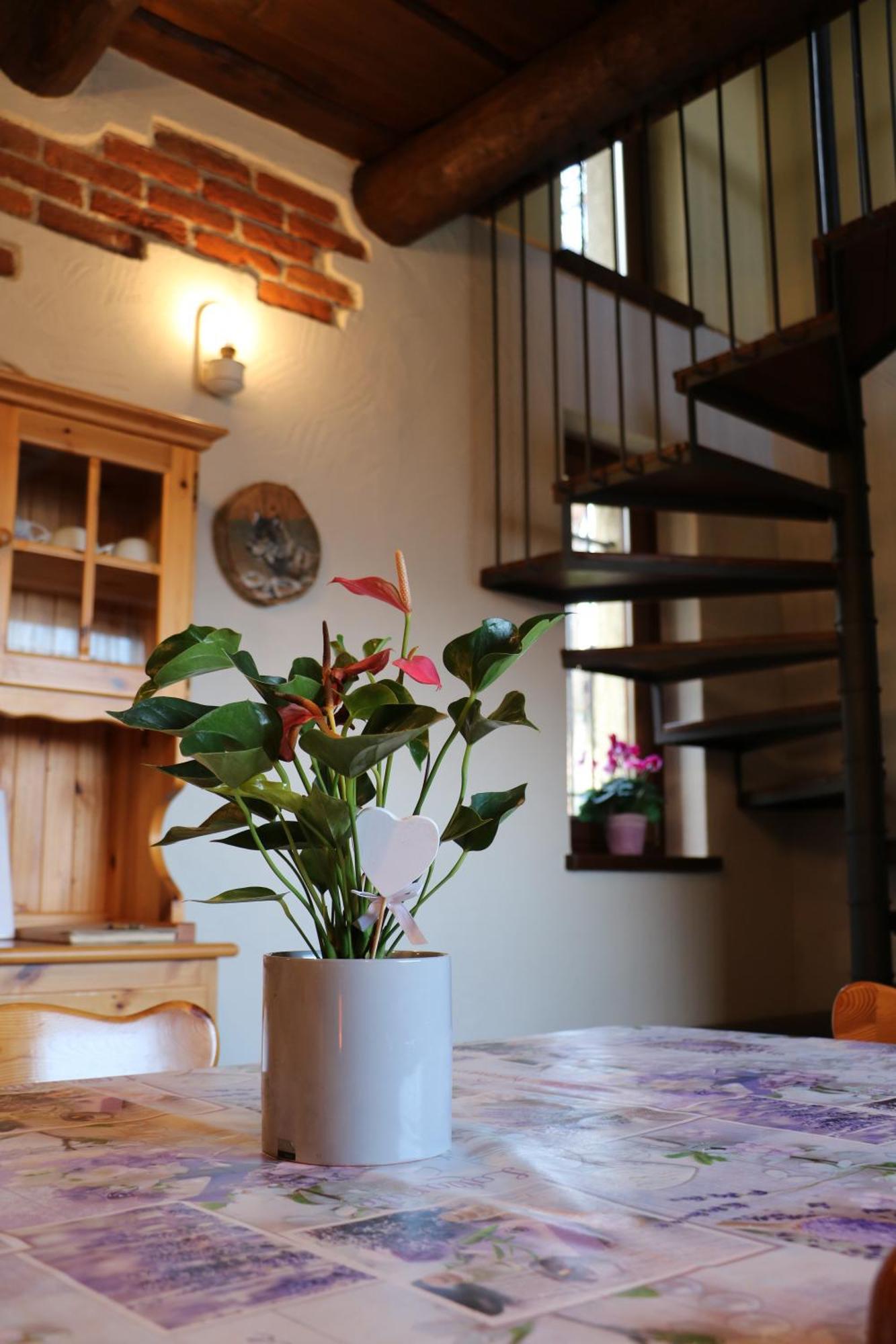 Casa Vacanze Le Primule Peveragno Exterior photo